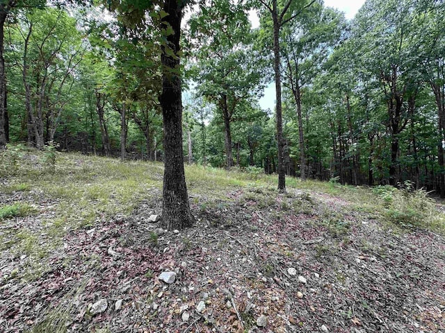 TBD Timber Ln, Mena, AR 71953