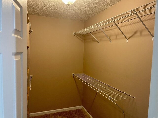417 Ridge Rd, Pocahontas, AR 72455 - walk in closet with carpet