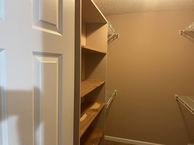 417 Ridge Rd, Pocahontas, AR 72455 - view of walk in closet