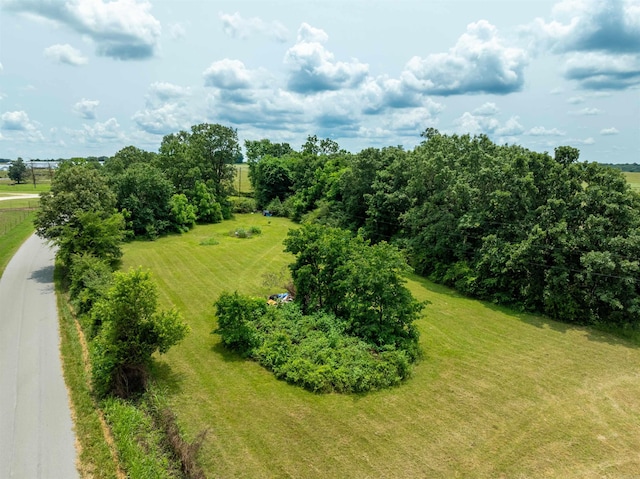 569 Hamlett Springs Rd, Cave City, AR 72521 - view of rural area