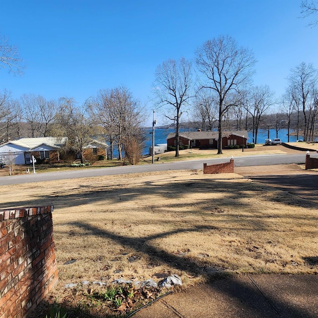 110 Emerald Ln, Horseshoe Bend, AR 72512 - view of yard