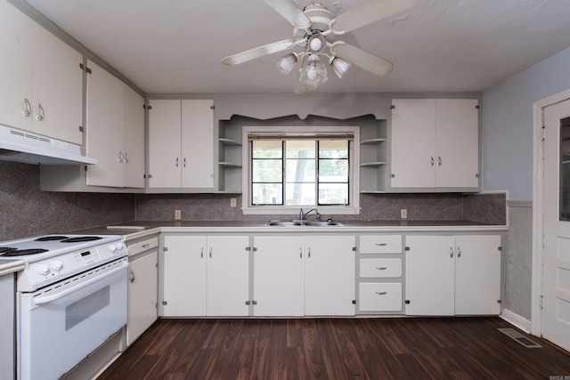 220 N Monroe St, Little Rock, AR 72205 - kitchen with open shelves, white electric stove, a sink, under cabinet range hood, and white cabinets