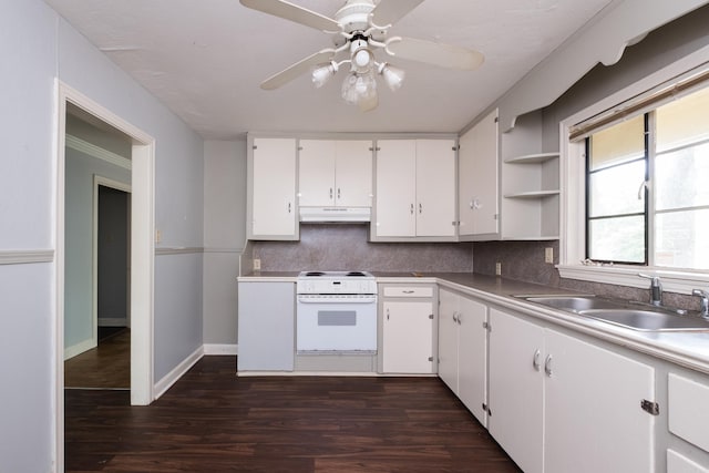220 N Monroe St, Little Rock, AR 72205 - kitchen featuring a sink, under cabinet range hood, backsplash, and dark wood-style flooring