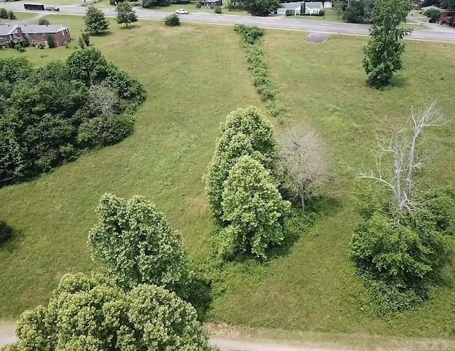 Blossom Loop, Clinton, AR 72031