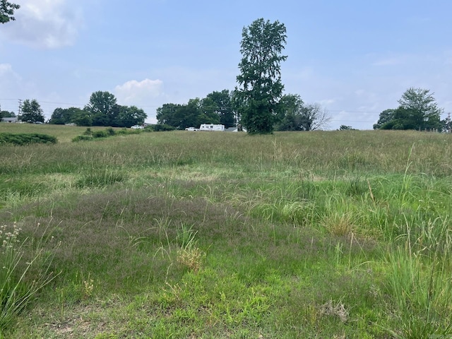 Blossom Loop, Clinton, AR 72031