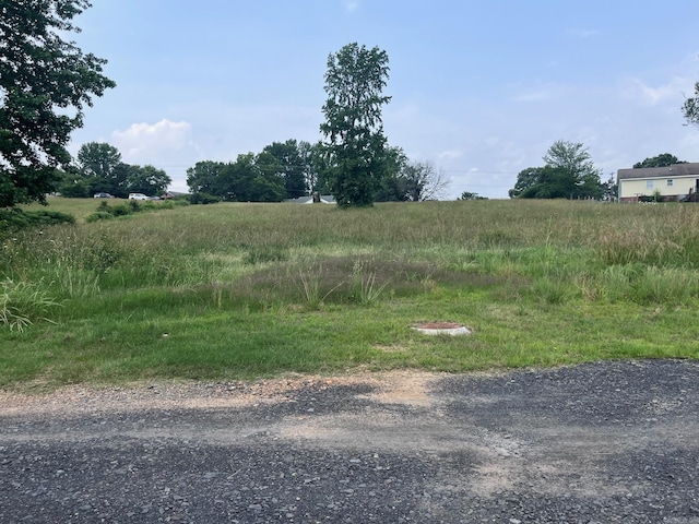 Blossom Loop, Clinton, AR 72031