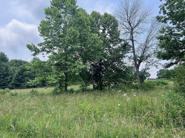 Blossom Loop, Clinton, AR 72031