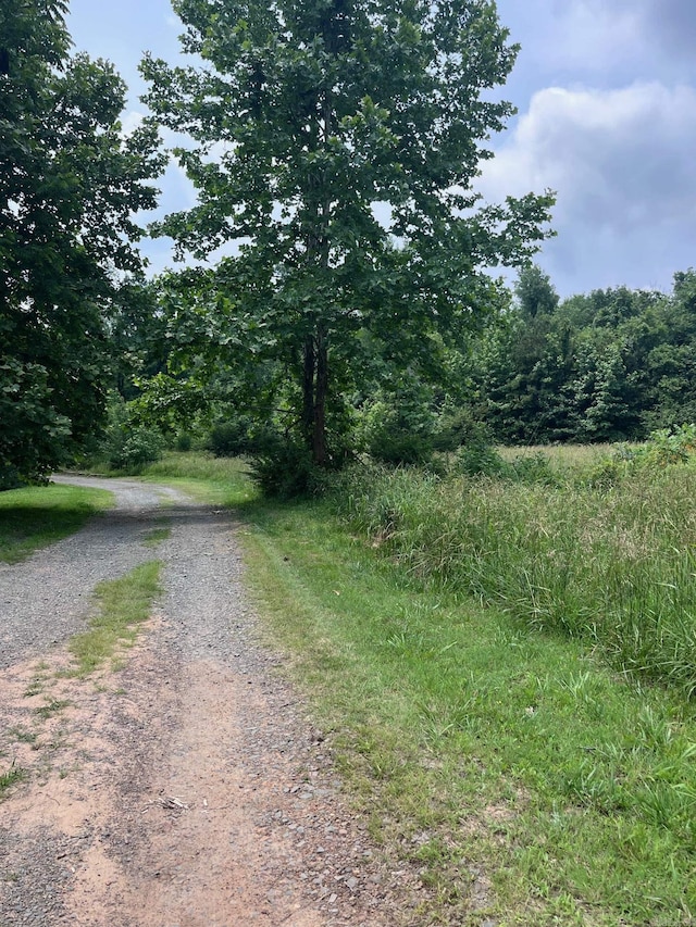 Blossom Loop, Clinton, AR 72031