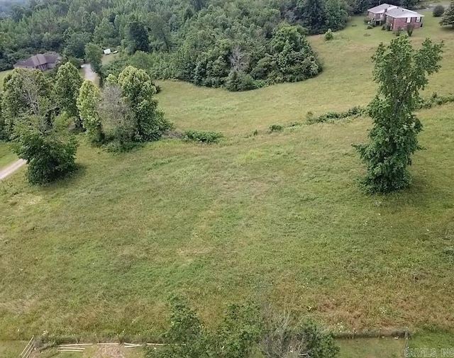 Blossom Loop, Clinton, AR 72031