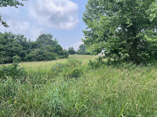 Blossom Loop, Clinton, AR 72031