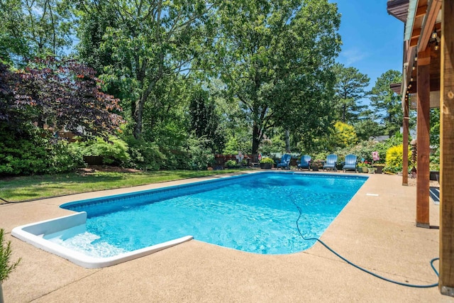 outdoor pool featuring a patio and view of wooded area