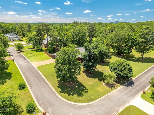 drone / aerial view of a forest