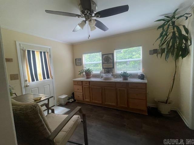 kitchen featuring ceiling fan, ornamental molding, dark wood-style floors, and light countertops