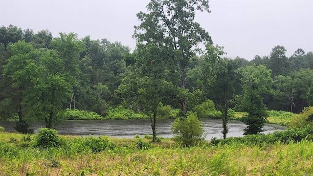 TBD Highway 298 E, Story, AR 71970