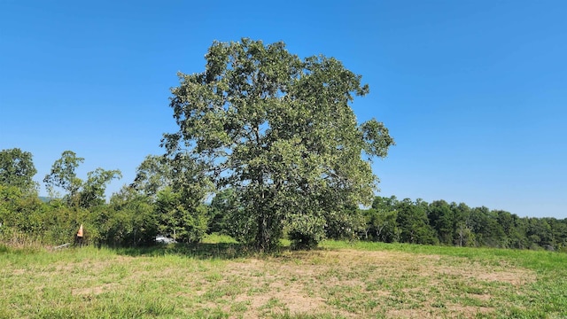 TBD Highway 298 E, Story, AR 71970