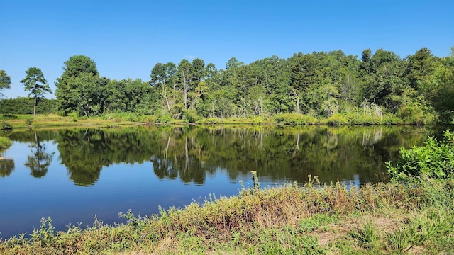 TBD Highway 298 E, Story, AR 71970