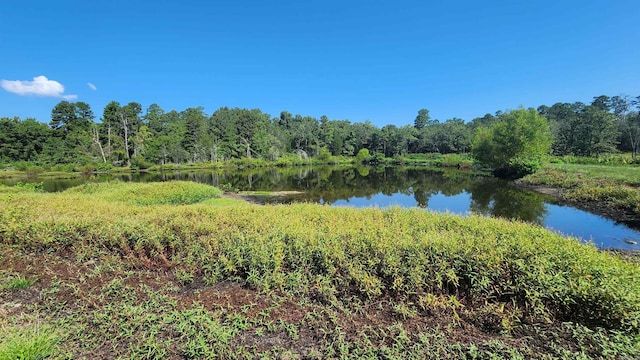 TBD Highway 298 E, Story, AR 71970