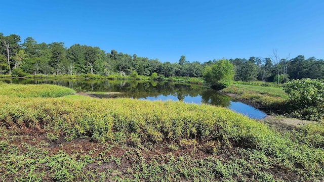 TBD Highway 298 E, Story, AR 71970