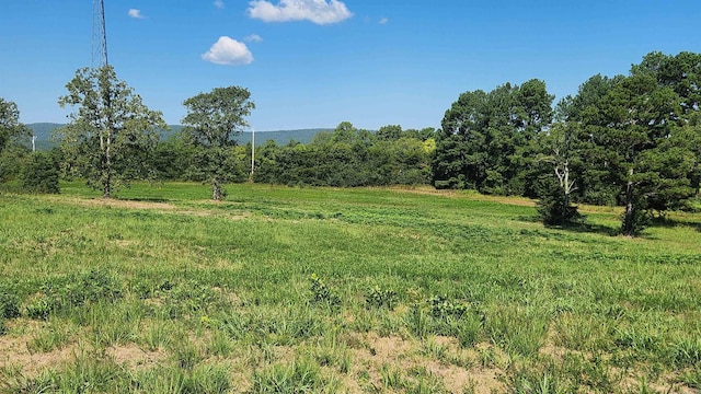 TBD Highway 298 E, Story, AR 71970