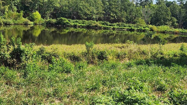 TBD Highway 298 E, Story, AR 71970