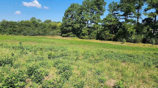 TBD Highway 298 E, Story, AR 71970
