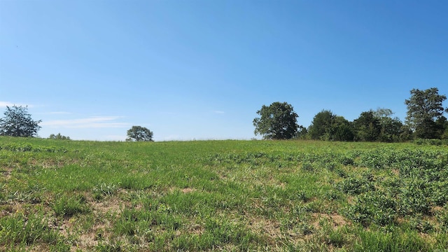 TBD Highway 298 E, Story, AR 71970