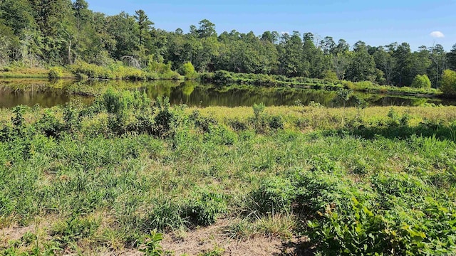 TBD Highway 298 E, Story, AR 71970