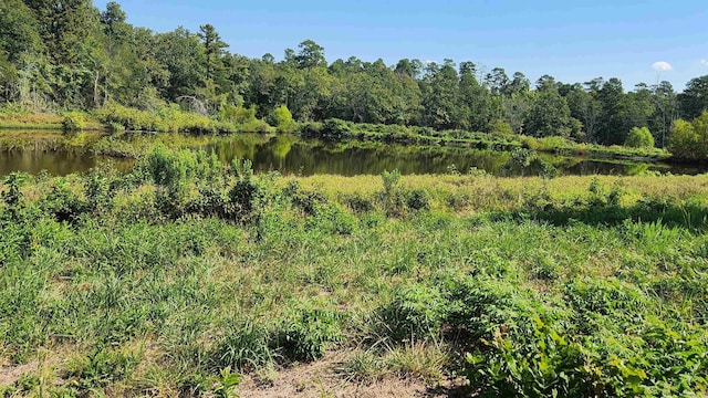 TBD Highway 298 E, Story, AR 71970