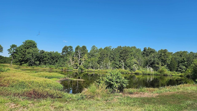 TBD Highway 298 E, Story, AR 71970