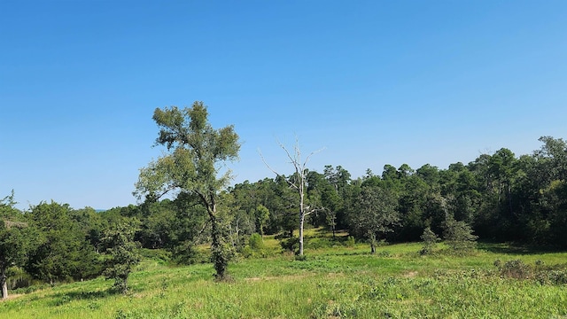 TBD Highway 298 E, Story, AR 71970