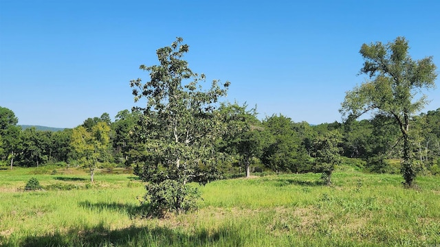 TBD Highway 298 E, Story, AR 71970