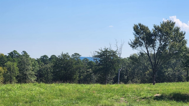 TBD Highway 298 E, Story, AR 71970
