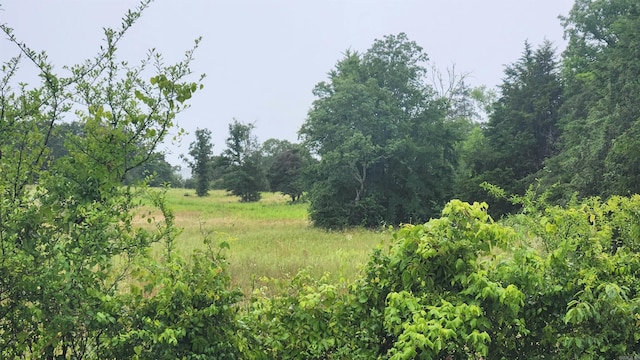 TBD Highway 298 E, Story, AR 71970