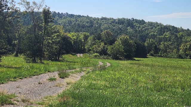 TBD Highway 298 E, Story, AR 71970