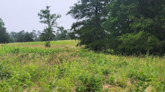 TBD Highway 298 E, Story, AR 71970