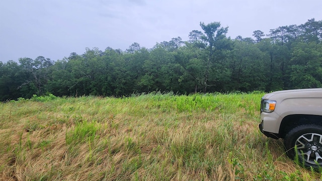 TBD Highway 298 E, Story, AR 71970