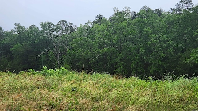 TBD Highway 298 E, Story, AR 71970