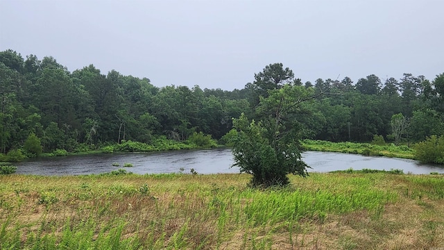 TBD Highway 298 E, Story, AR 71970