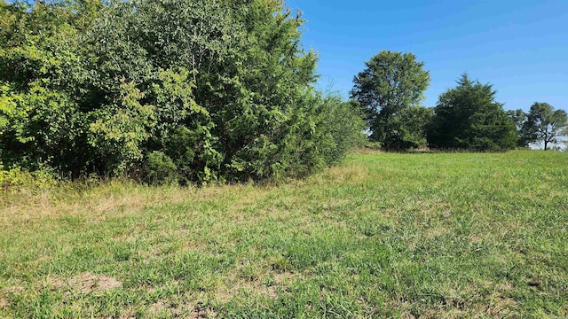 TBD Highway 298 E, Story, AR 71970