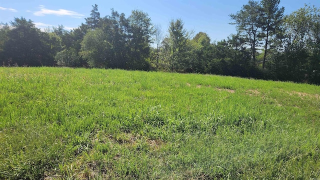 TBD Highway 298 E, Story, AR 71970