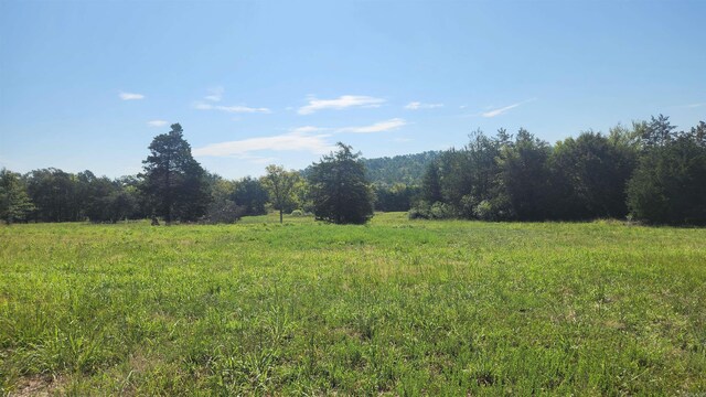 TBD Highway 298 E, Story, AR 71970
