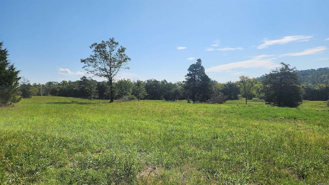 TBD Highway 298 E, Story, AR 71970