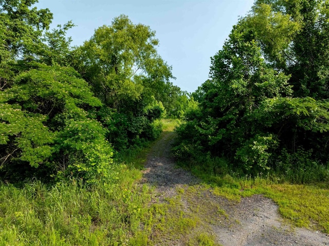 2560 Batesville Blvd, Southside, AR 72501