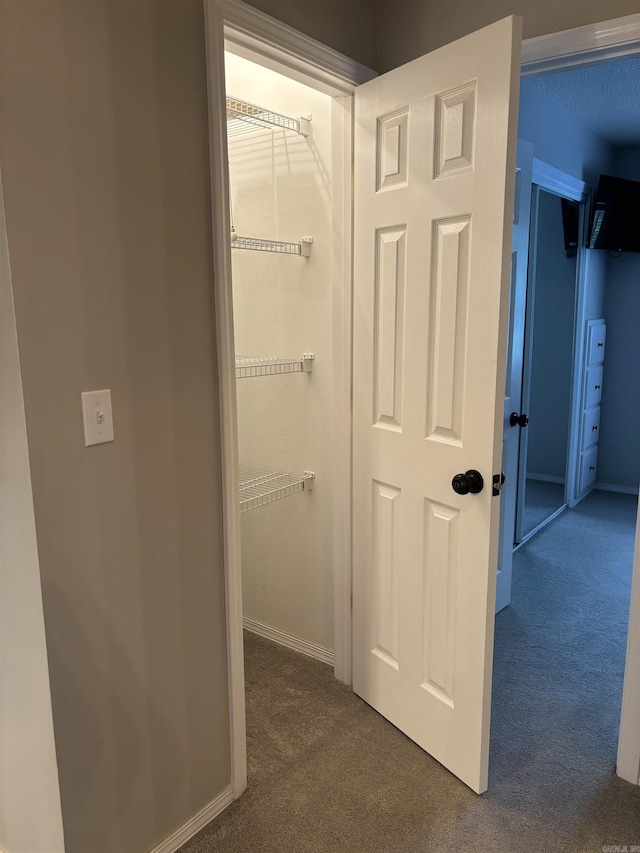 135 Hillview Dr Unit 19, Fairfield Bay, AR 72088 - view of closet