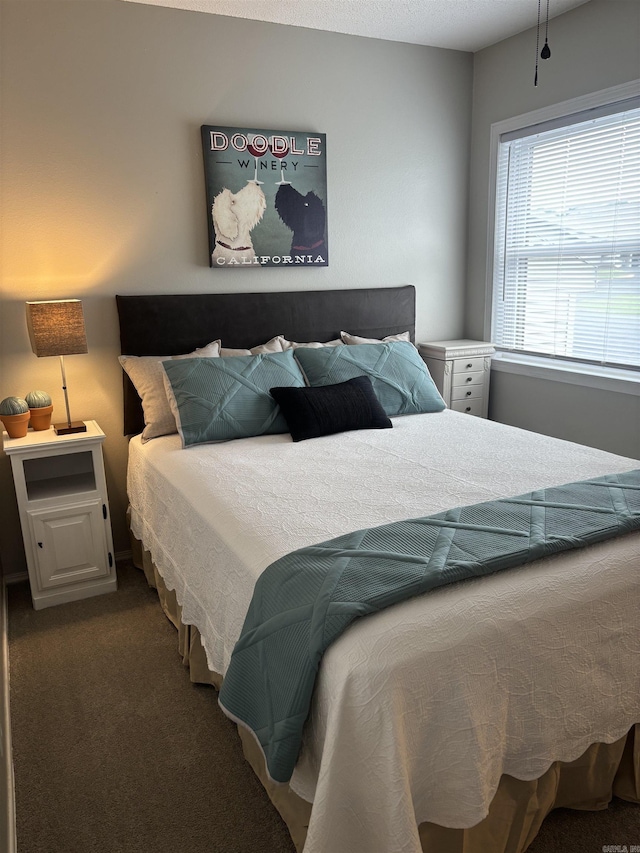 135 Hillview Dr Unit 19, Fairfield Bay, AR 72088 - bedroom with dark carpet