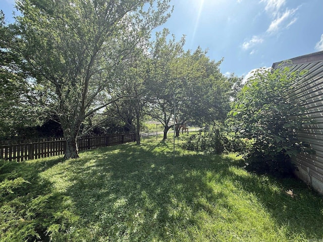 211 Turner St, Mena, AR 71953 - view of yard