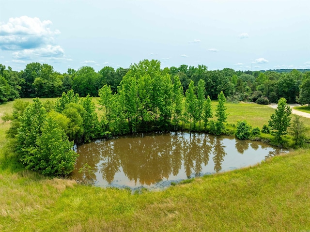 400 N St, Cave, AR 72521
