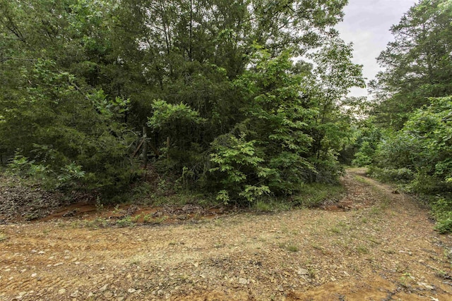000 Fawn Ridge Ln, Williford, AR 72482
