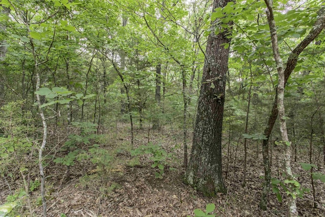 000 Fawn Ridge Ln, Williford, AR 72482
