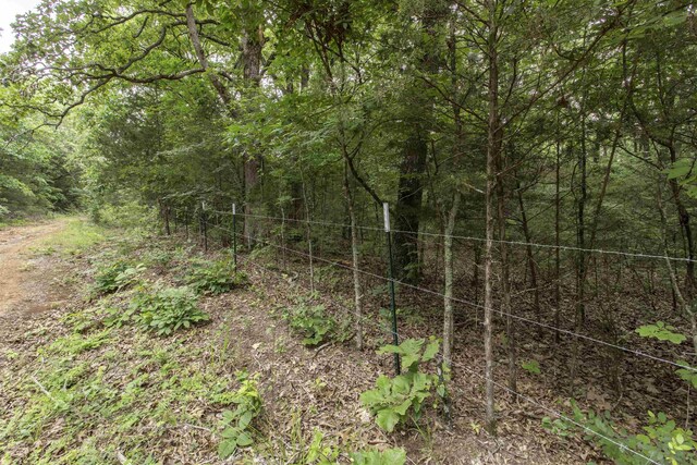 000 Fawn Ridge Ln, Williford, AR 72482